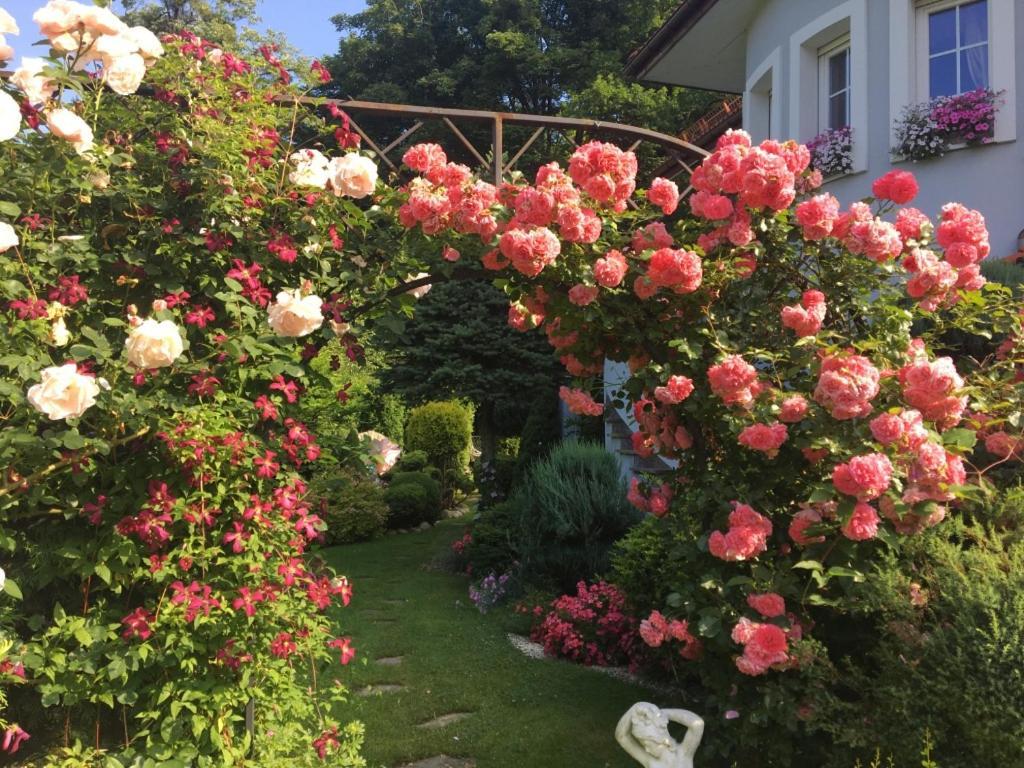 Domek I Apartamenty Zacisze เบรนนา ภายนอก รูปภาพ